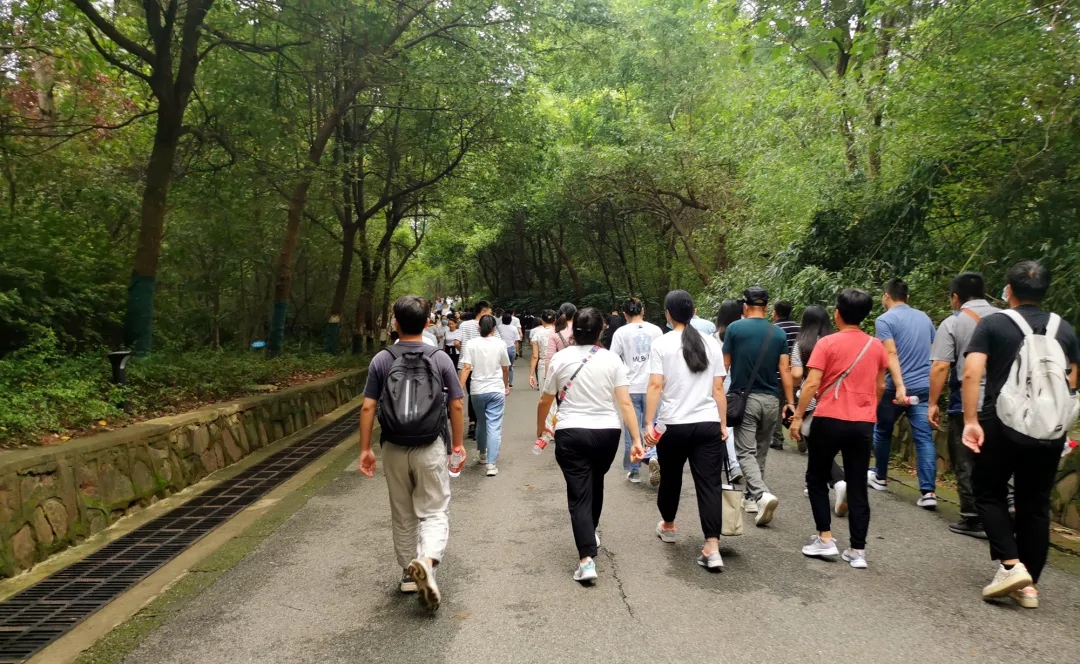 ̬湤3499˹ά˹ƼɽԲĻ