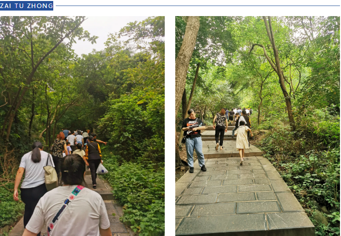 ̬湤3499˹ά˹ƼɽԲĻ